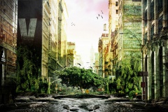 DÉFENSE FORMATION JEAN NOEL NATUREL 010 DÉFENSE FORMATION JEAN NOEL NATUREL 010